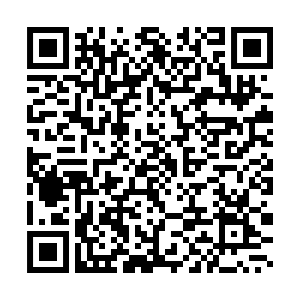 Program QR Code